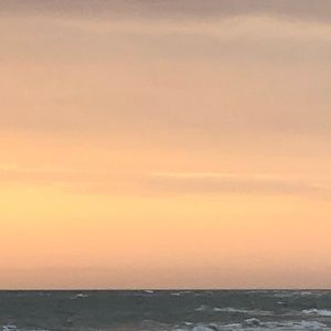 Meet your Posher, Kenadee